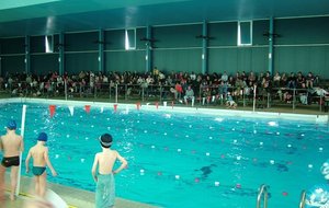 Ecole de natation 