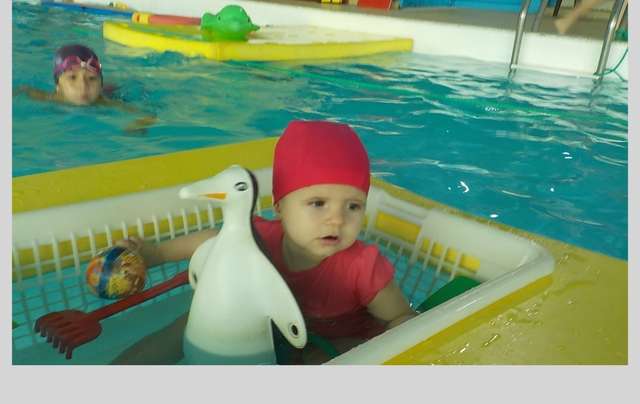 Photos bébés nageurs du 4 décembre 2016